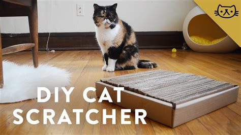 The Magic Cat Scratching Board Revolution: How It's Changing the Way We Care for Cats